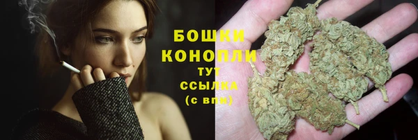 СК Балахна