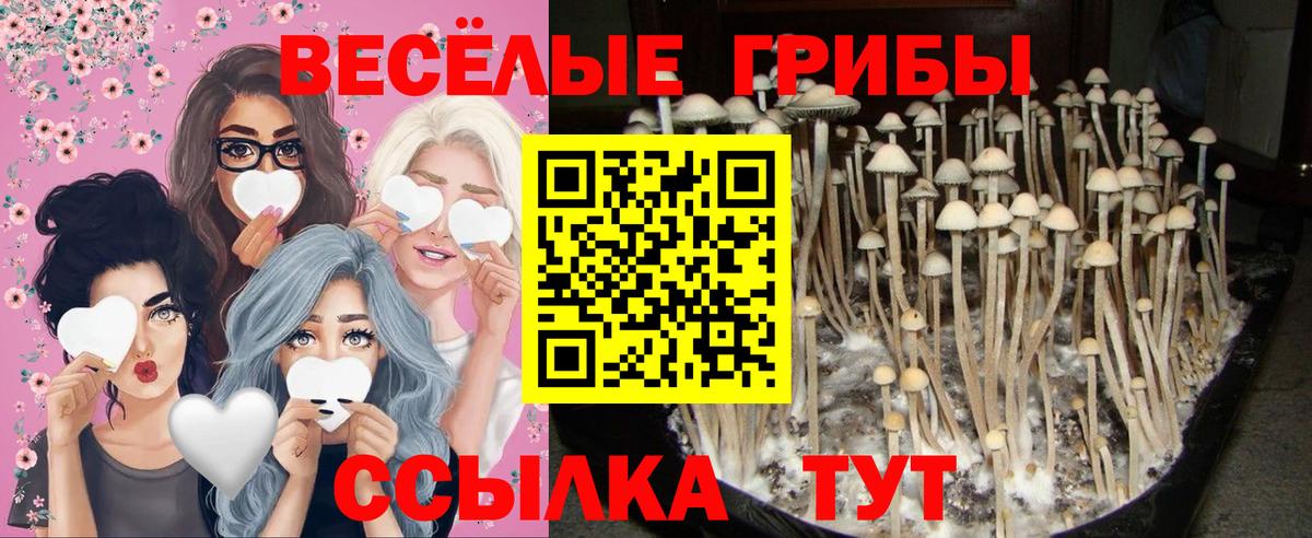 Галлюциногенные грибы ЛСД Саяногорск